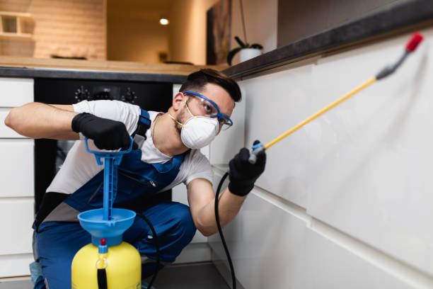 Best Pest Inspection Near Me  in Viera East, FL