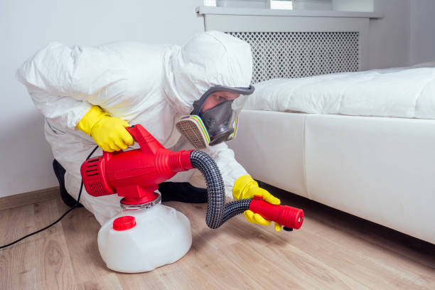 Best Pest Removal Services  in Viera East, FL