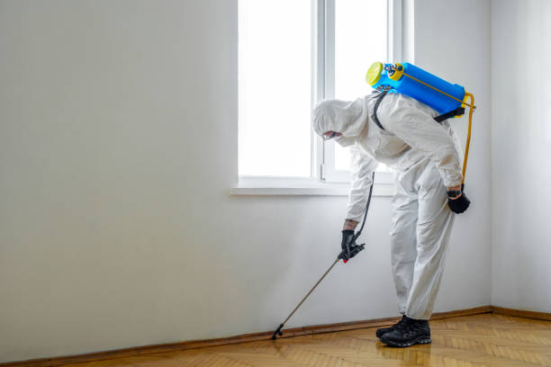 Best Pest Prevention Services  in Viera East, FL