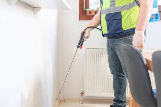 Best Local Pest Control Services  in Viera East, FL