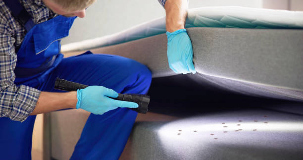 Best Pest Inspection Near Me  in Viera East, FL