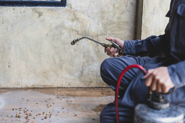 Best Best Pest Control Companies  in Viera East, FL
